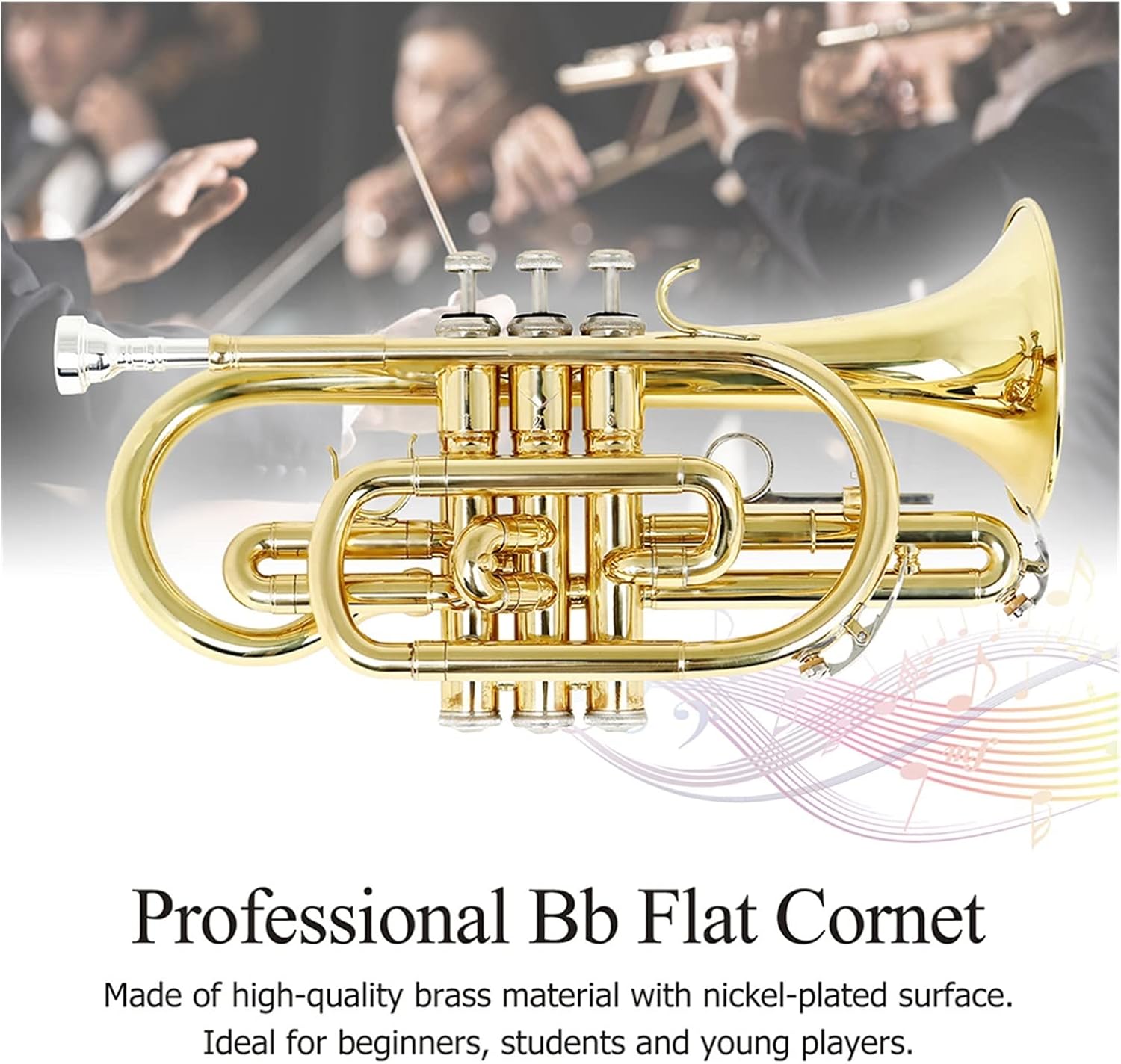 Trumpets Beginner Professional Bb Flat Cornet Brass with Carrying Case Gloves Cleaning Cloth Brushes Wind Instrument Trumpet Set