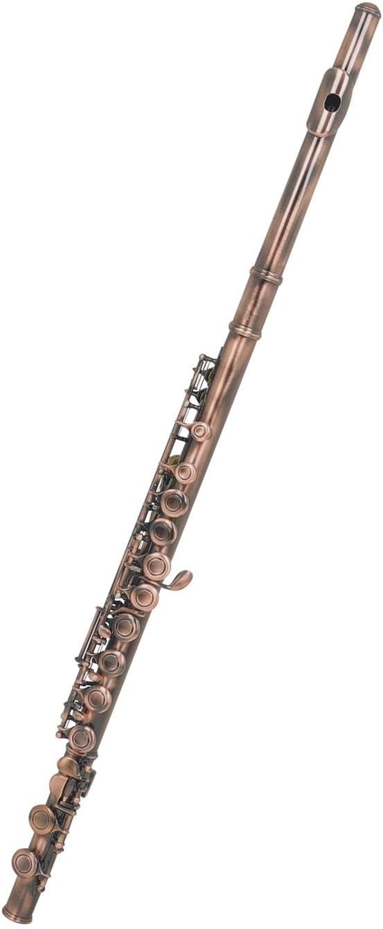 Flute 16 Hole C Key Flute Set Closed Hole C Flute Gloves Woodwind Accessories for Music Lovers Flutes Musical Instruments (Color : 02)