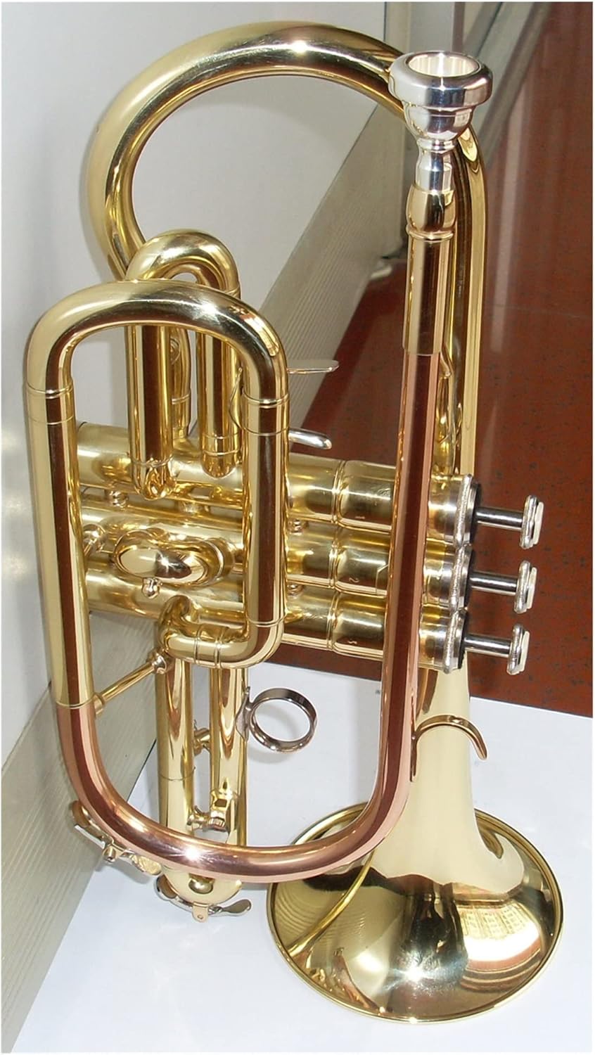 FLFL Student Trumpet Brass Body Gold Lacquer Phosphor Copper Leadpipe Bb Cornet