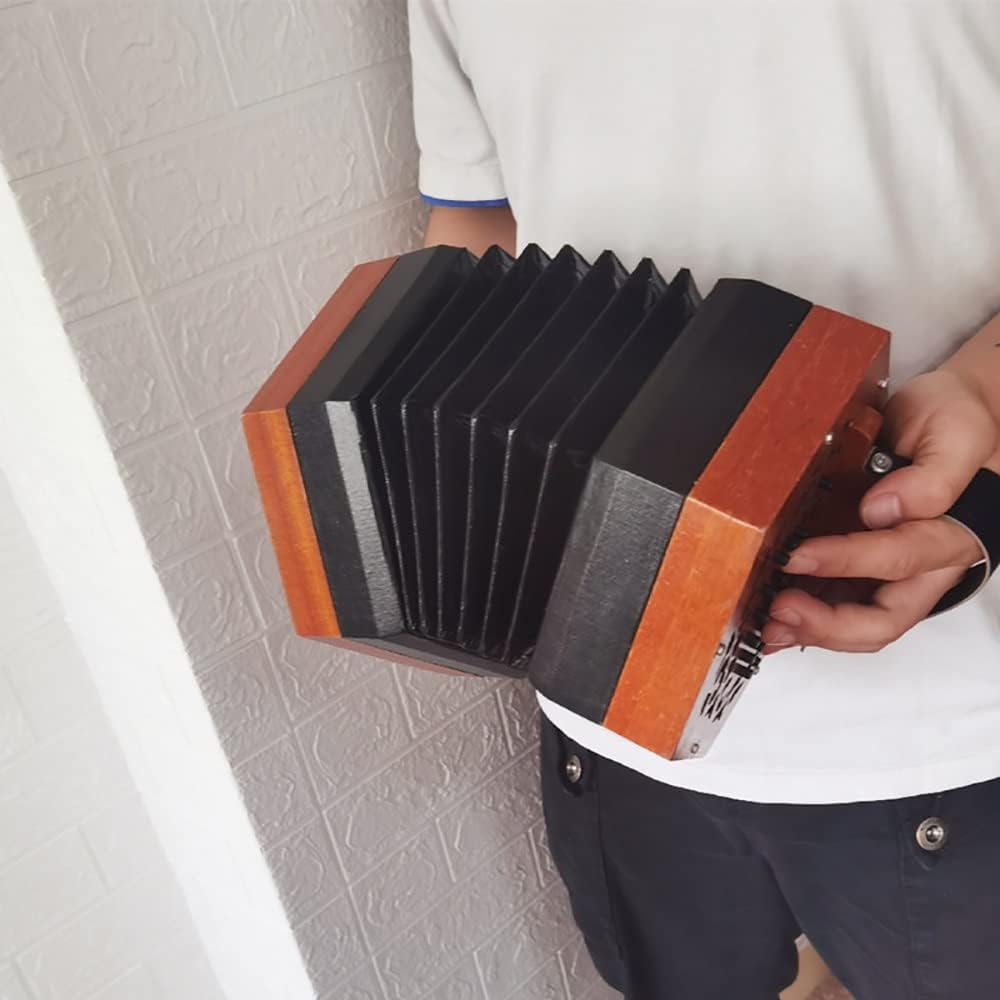 Portable Concertina Accordion Professional Musical Instrument, Hand Piano Accordion Music, With Carrying Bag And Adjustable Hand Strap, For Adults Beginners