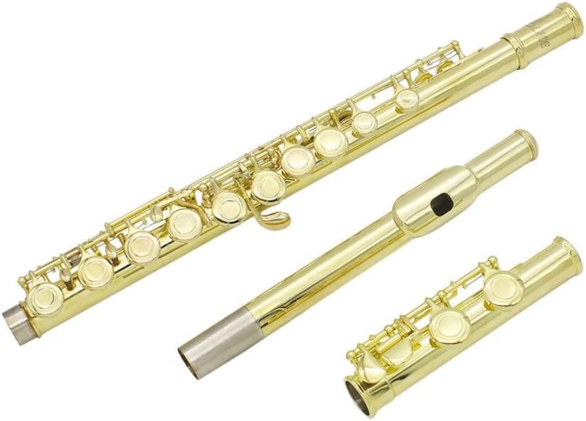 Golden 16 Holes C Tone Flute with E Key Woodwind Instrument Closed Hole Gold-plated Keys Cupronickel Tube with Music Case