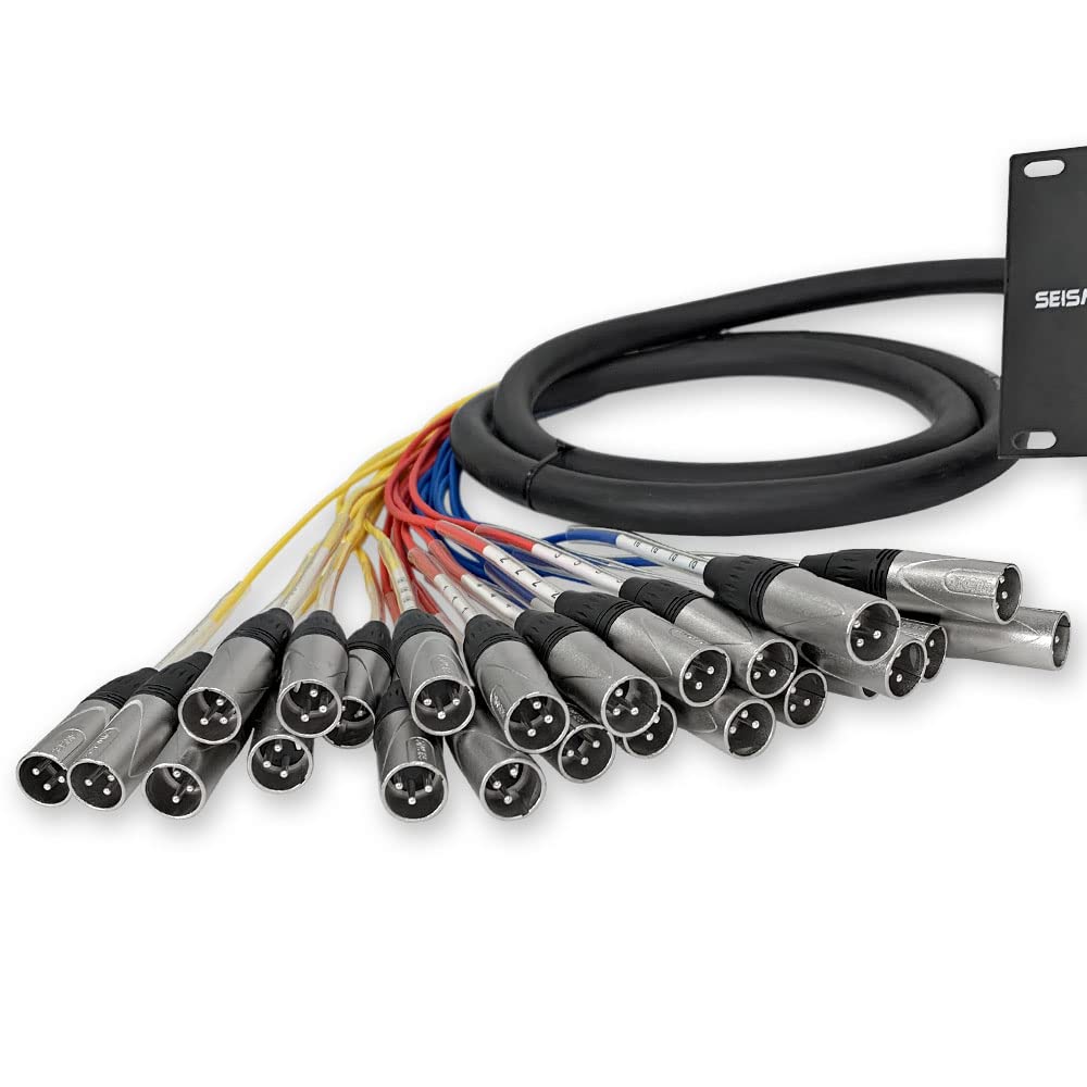Seismic Audio SARMSS-24x310-24 Channel XLR TRS Combo Splitter Snake Cable - 3' and 10' XLR Trunks