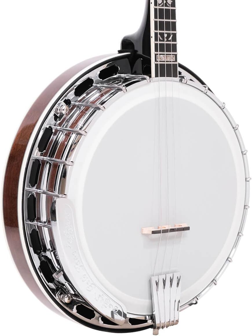 Gold Tone IT-250F Irish Tenor Banjo (Vintage Brown)