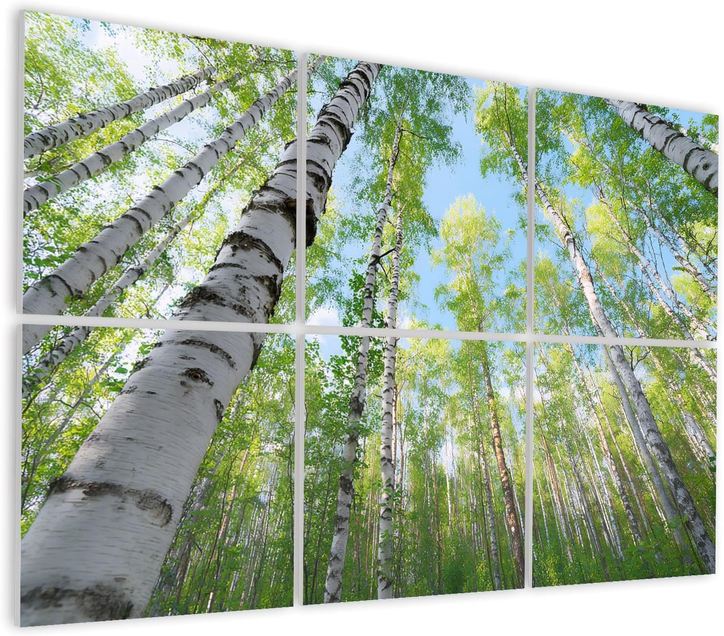 6 Pack Art Acoustic Panels Self Adhesive Summer Sunny Birch Forest Decorative Soundproof Wall Panels Sound Absorbing Panel 48