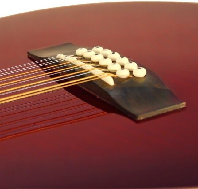 Ashton SL29/12CEQ 12-String Electro-Acoustic Guitar - Tobacco Sunburst