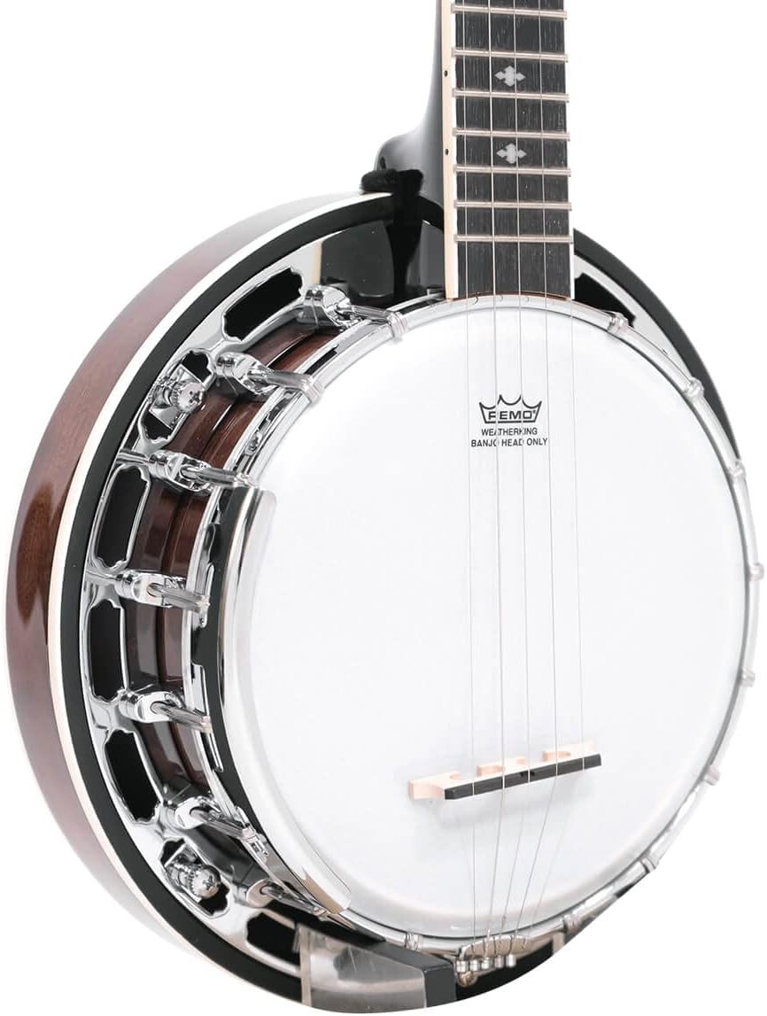 Gold Tone Children's Mini Banjo w/Gig Bag