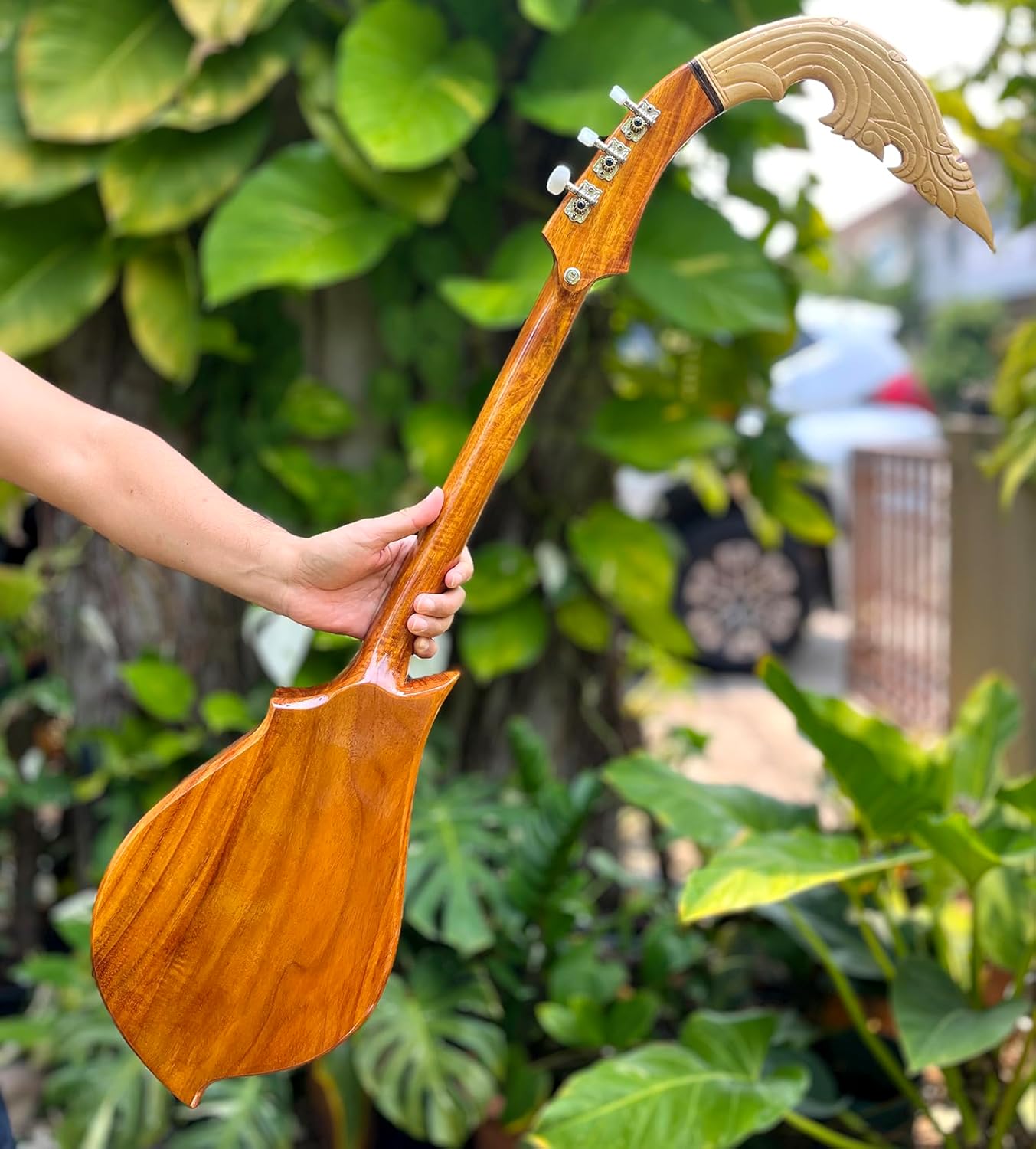 Isarn Acoustic Electric Phin 3 Strings, Thai Lao Guitar Musical Instrument, Traditional Thai Musical Pin51