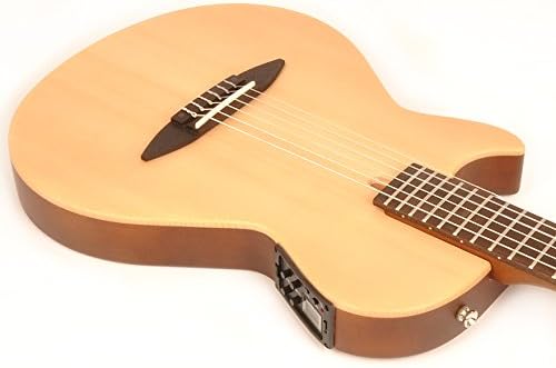 Hadean EA-100 NA Left Handed Semi Hollow Body Guitar