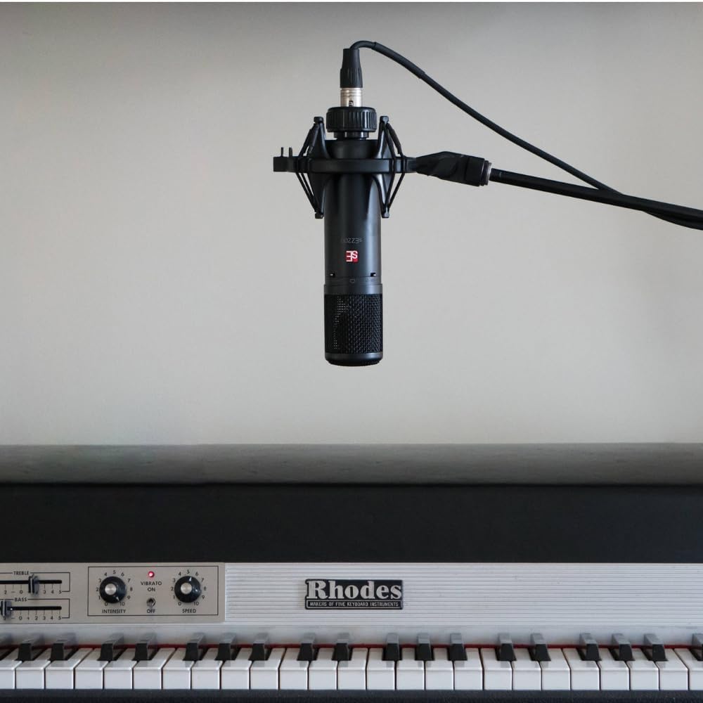 sE Electronics sE2200 Large-Diaphragm Condenser Microphone Bundle w/Pig Hog PHM10 8mm Mic Cable Polishing Cloth