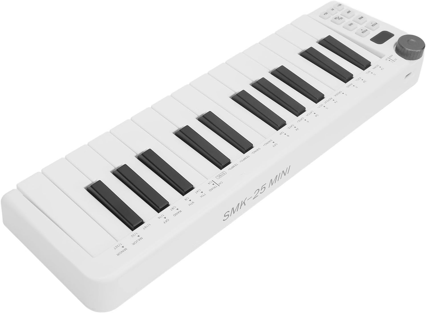 MIDI Keyboard Controller, 25 Sensitive Keys MIDI Keyboard Controller with Portable Design, Wide Connectivity, Versatile Inputs Outputs