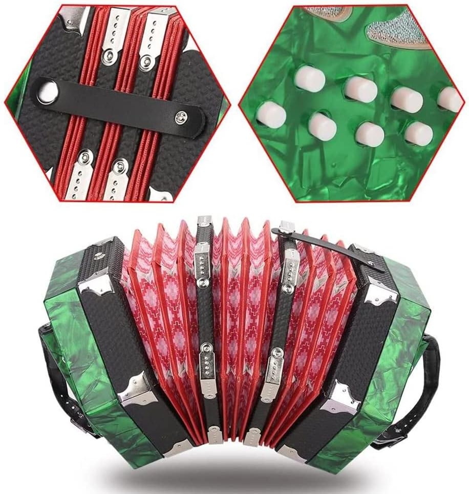 Accordion For Kids Adults Beginner, Professional 20 Buttons Concertina, Adjustable Hand Strap, With Carrying Bag, High-end And Elegant Professional Accordion