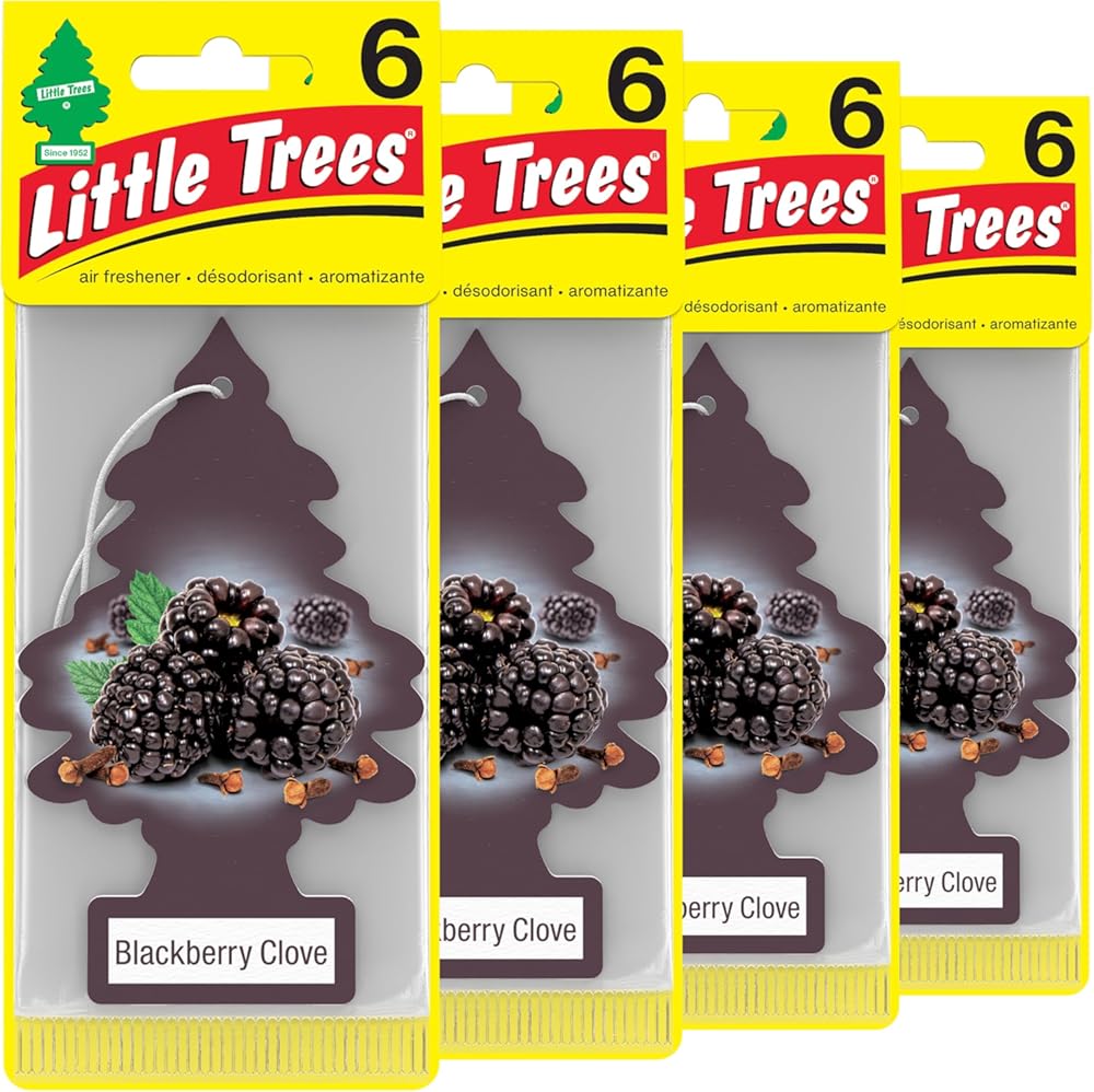 LITTLE TREES Car Air Freshener. Hanging Tree Provides Long Lasting Scent for Auto or Home. Blackberry Clove, 24 Air Fresheners (Pack of 6)