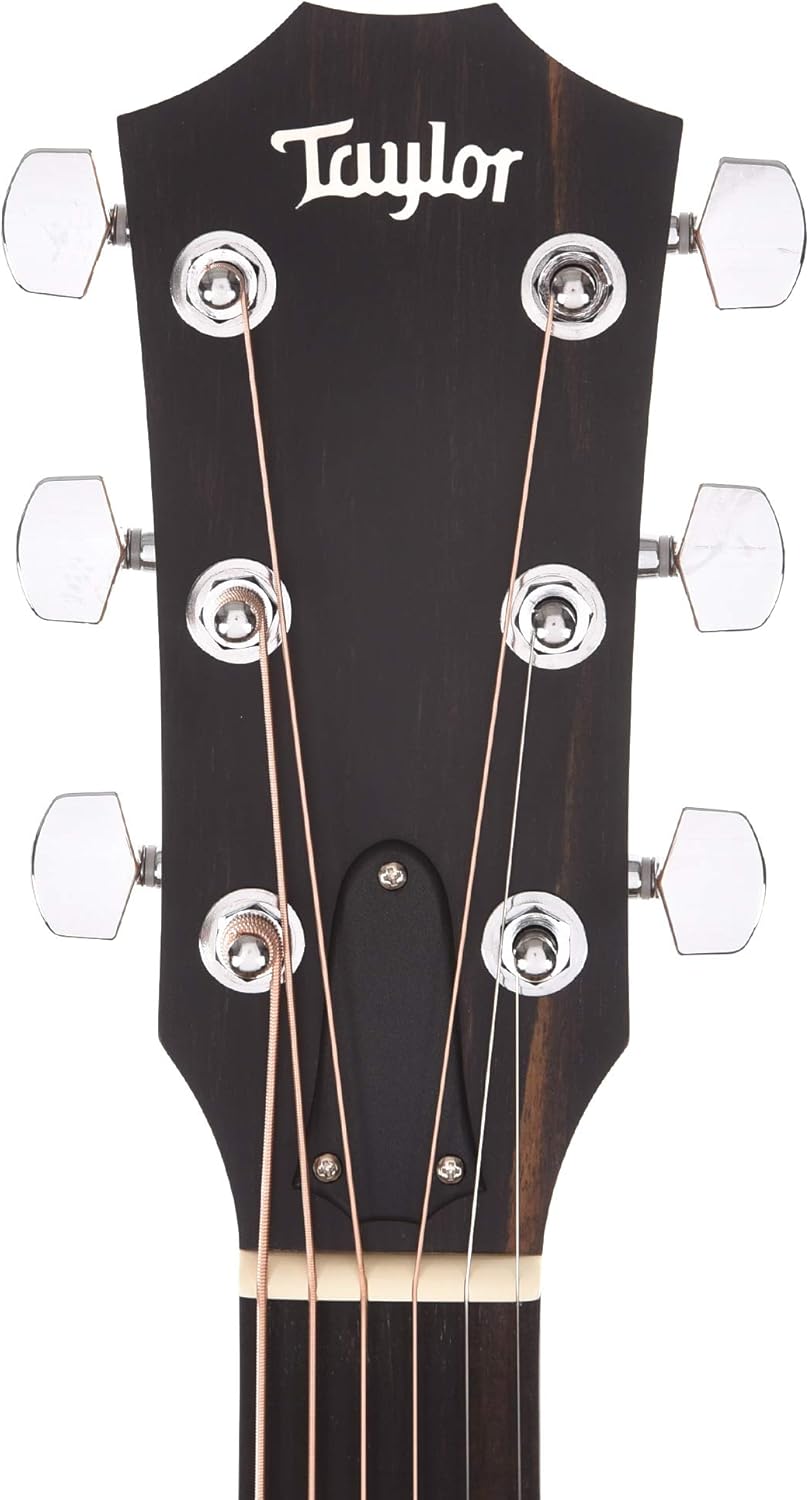 Taylor 210ce Acoustic-Electric Guitar - Natural