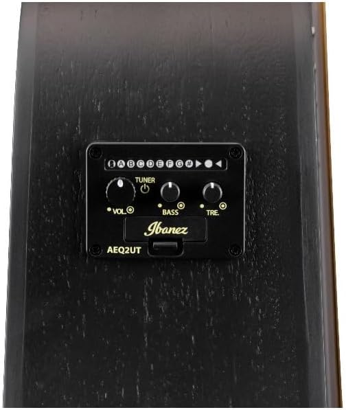 Ibanez Altstar ALT20 Acoustic-Electric Guitar - Weathered Black