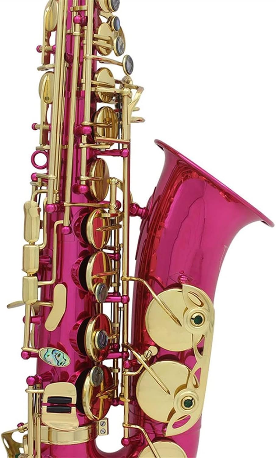 EB Alto Saxophone Carved Woodwind Instrument Abalone Shell Brass Sax with Parts