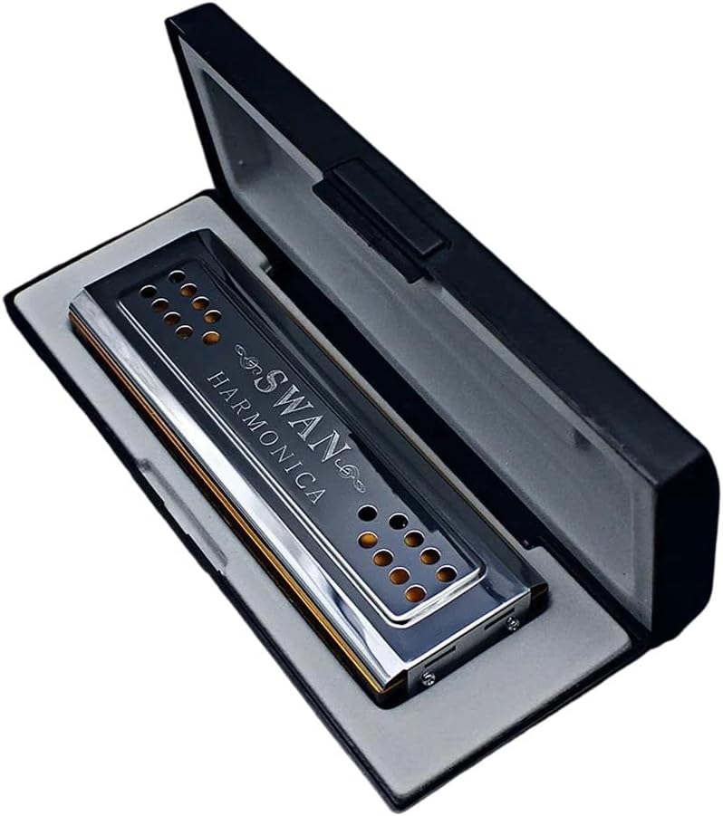 Blues Harmonica Gkey 24hole Polyphonic Harmonica Double Sided Silver Practice Professional Woodwind Instrument