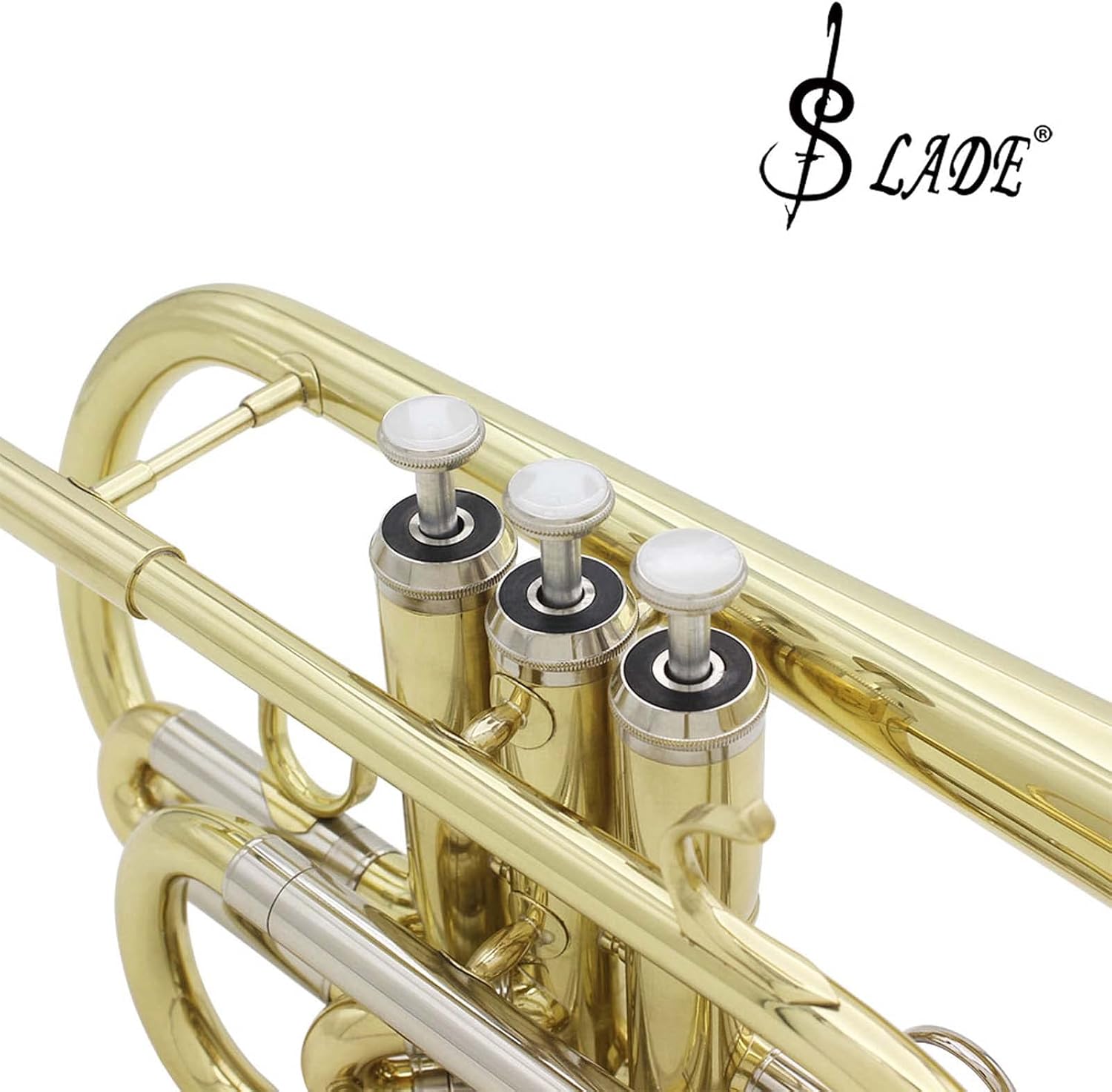 Professional Bb Flat Cornet Brass Instrument with Carrying Case Gloves Cleaning Cloth Brushes