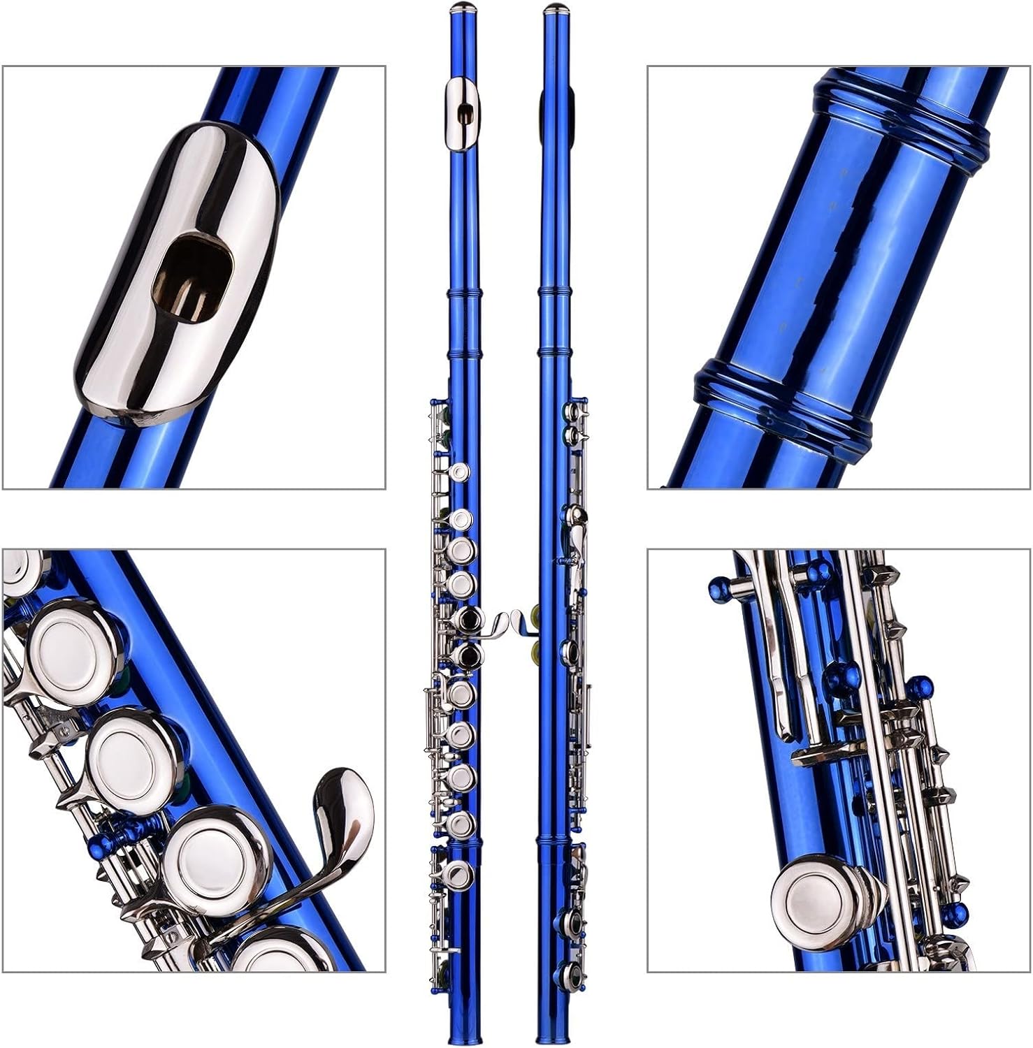 Closed Hole C Flute 16 Keys Wind Instrument with Carry Case Flute Stand Flutes (Color : Purple)