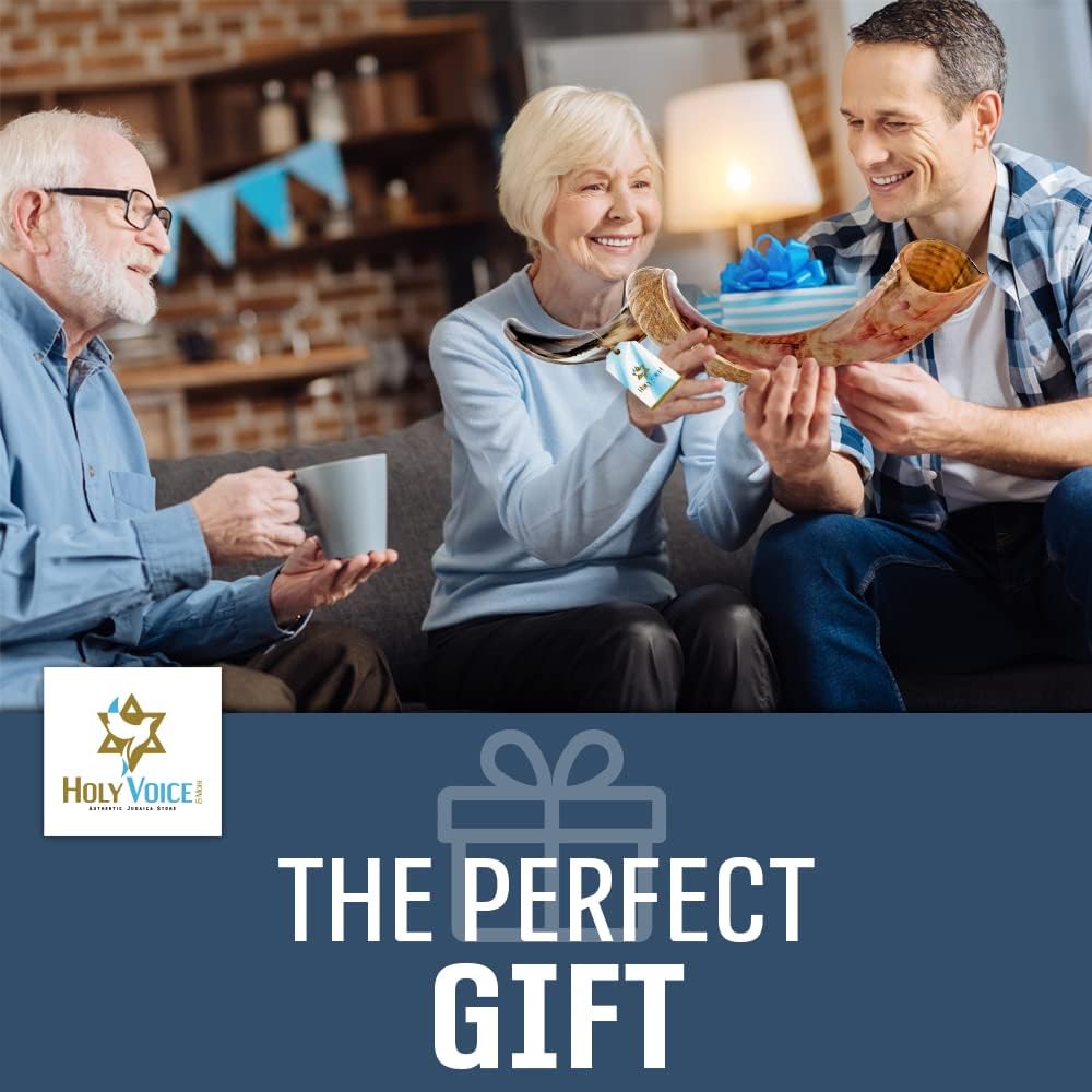 Kosher Kudu Shofar Horn from Israel 32”-36” – Traditional Half Polished Kudu Yemeni Shofar Holy Voice Easy Blowing Ancient Jewish Musical Instrument.