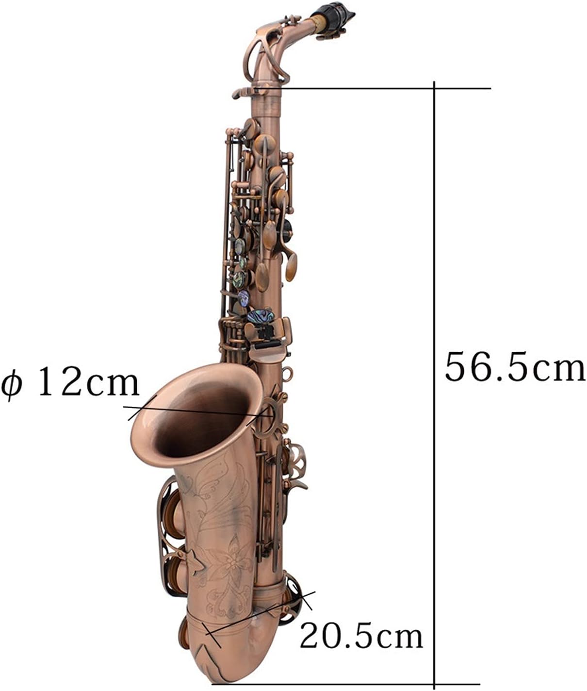 Sax Beginners Kit EB E- Flat Alto Saxophone Kit Sax Abalone Shell Key Carve Pattern Saxophone Set with Case Gloves Straps Brush Wind Instrument