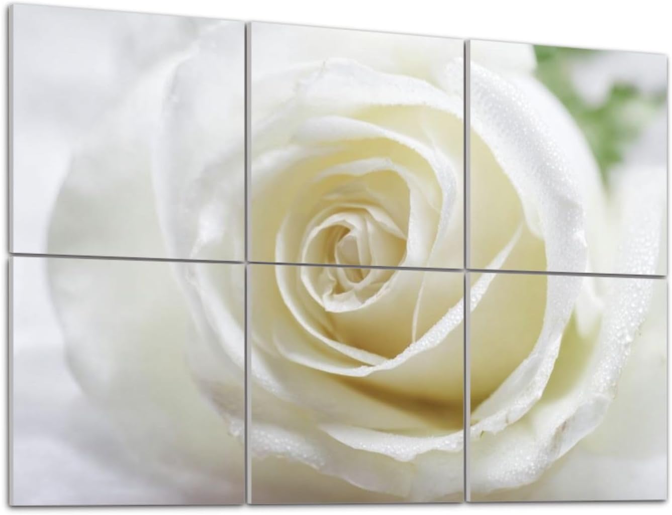 6 Pack Art Acoustic Panels Self Adhesive White rose Decorative Soundproof Wall Panels Sound Absorbing Panel 48