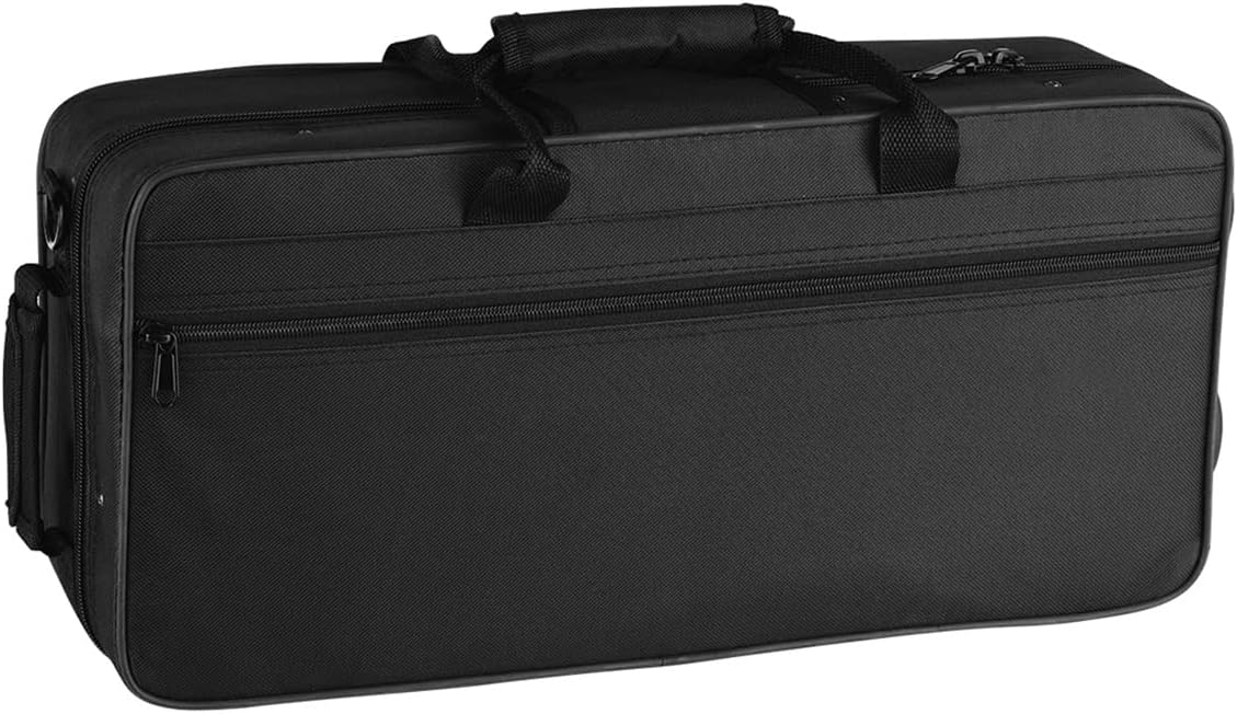 TSTS Mini Bb Saxophone Brass Material Gold Laquer Surface Woodwind Instrument Brass Sax Full Kit