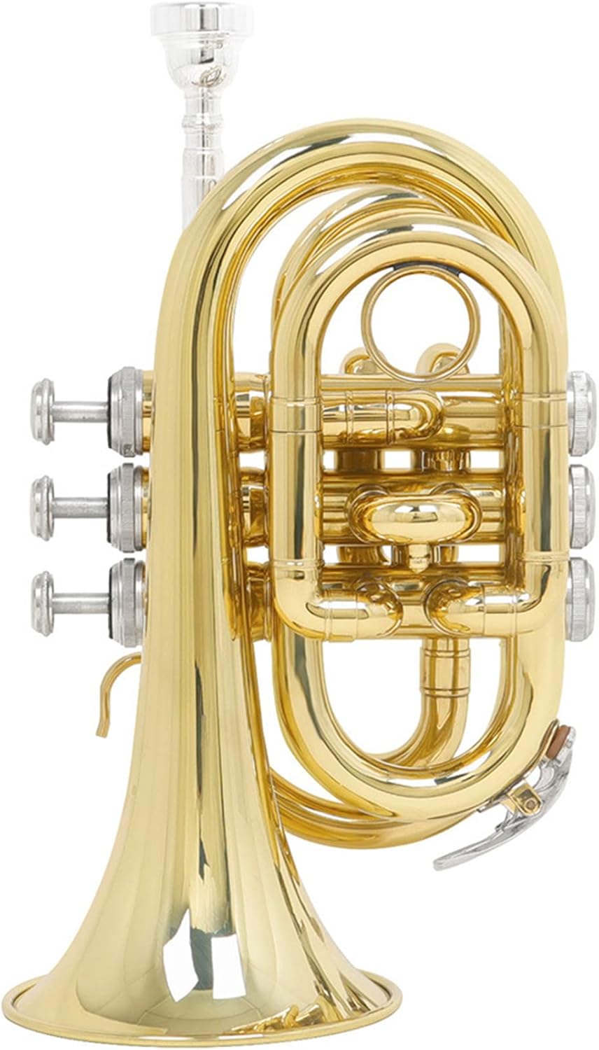EB Pocket Trumpet Brass Finish Lacquer Musical Instrument in E Flat Mini Trumpet Full Kit, Professional Pocket Trumpet Woodwind Instrument for Beginner/Students/Performance, Gorgeous Sound