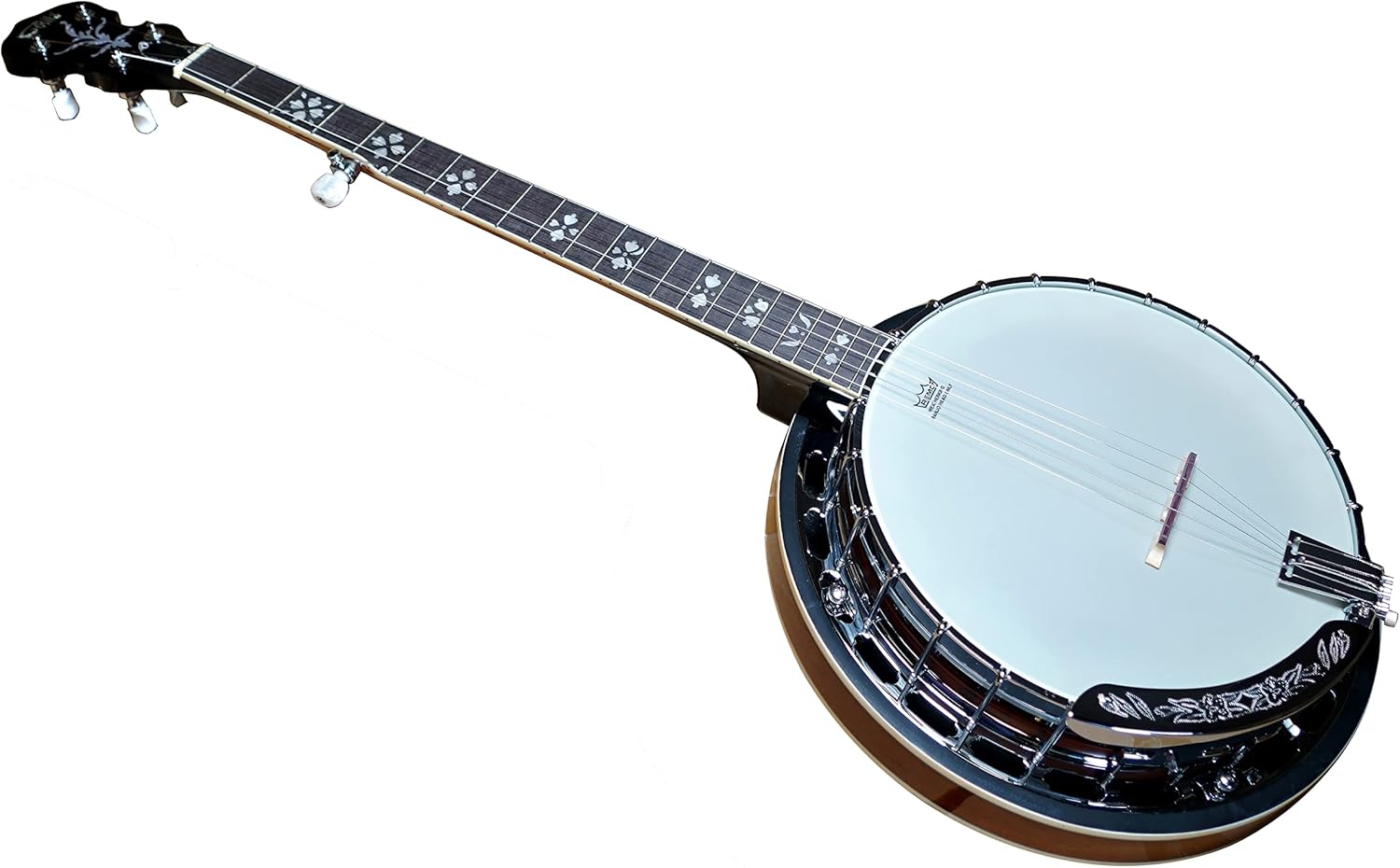 5 String Full Size Banjo Solid Back with beginner Kit Remo Head Coated Top European Maple Body Material Sapele Back Material Type Okoume Neck Material Type