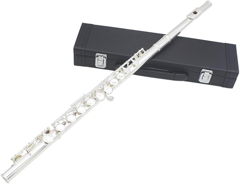 Flute Gold-Plated Silver Key 16 Hole Flute Woodwind Closed Hole E Key Flute with Box Flutes Musical Instruments (Color : Silver)