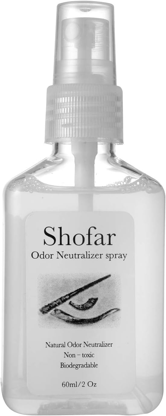 Authentic Yemenite Kudu Shofar Horn 28