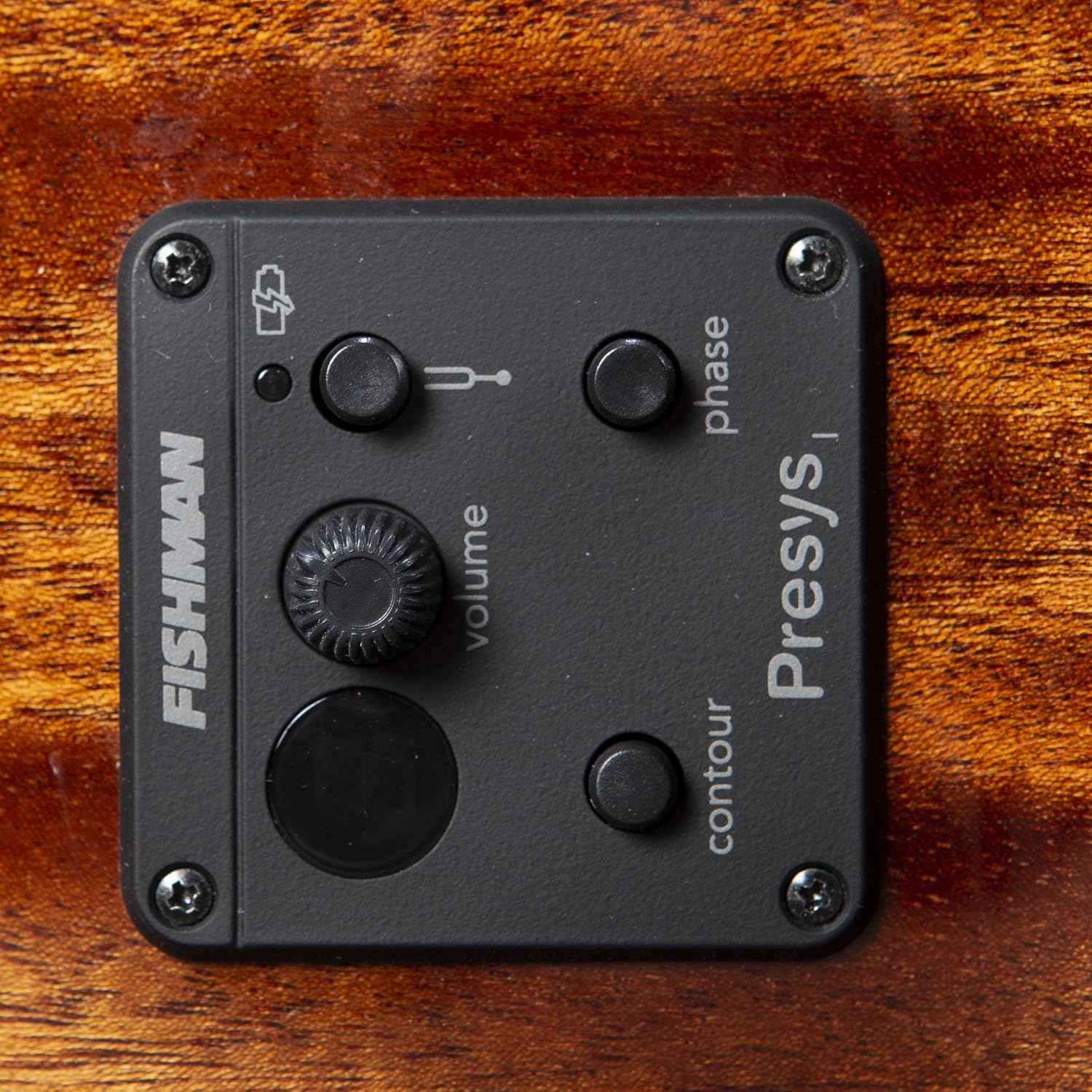 Breedlove Discovery S Concert Edgeburst 12 String CE European-African mahogany Acoustic Guitar