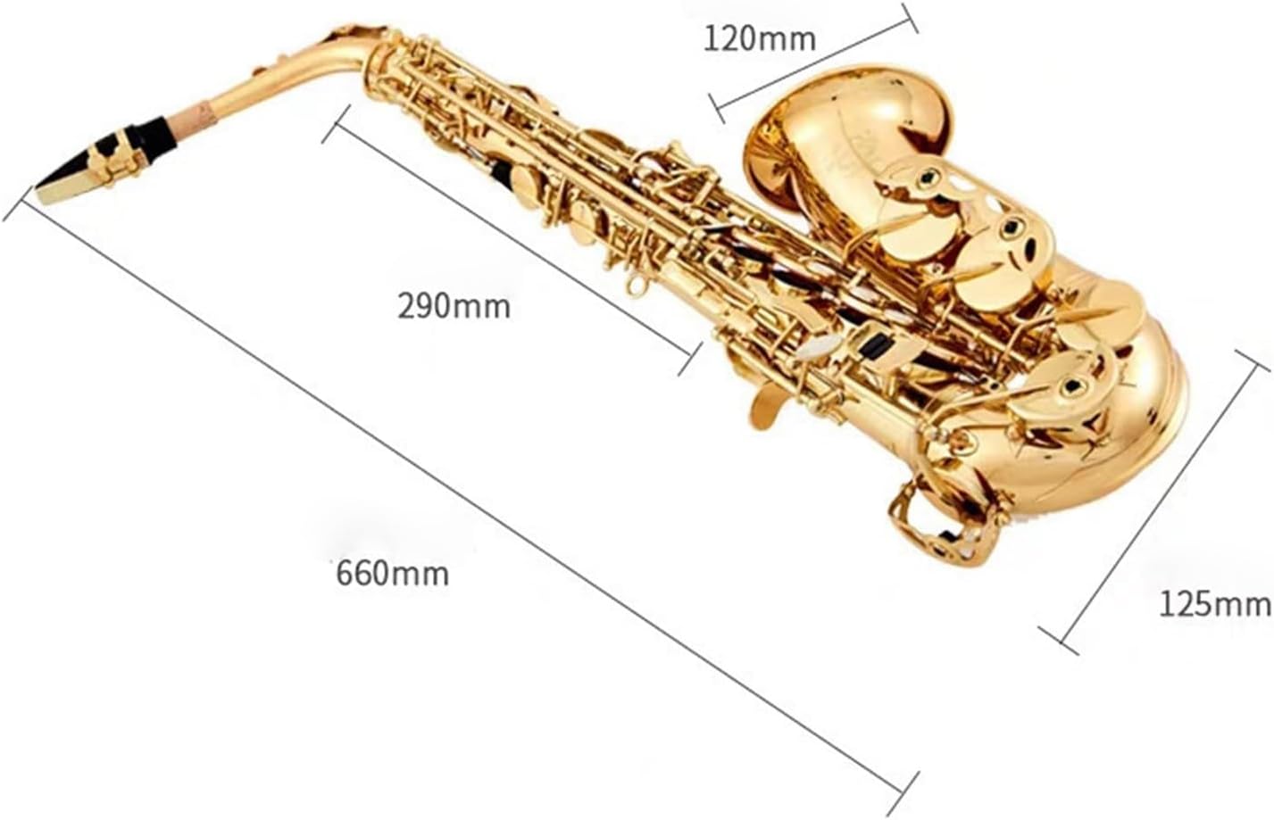 Saxophone for Beginners E-Flat Alto Saxophone Instrument Beginner Adult Grade Test Performance Woodwind Instrument
