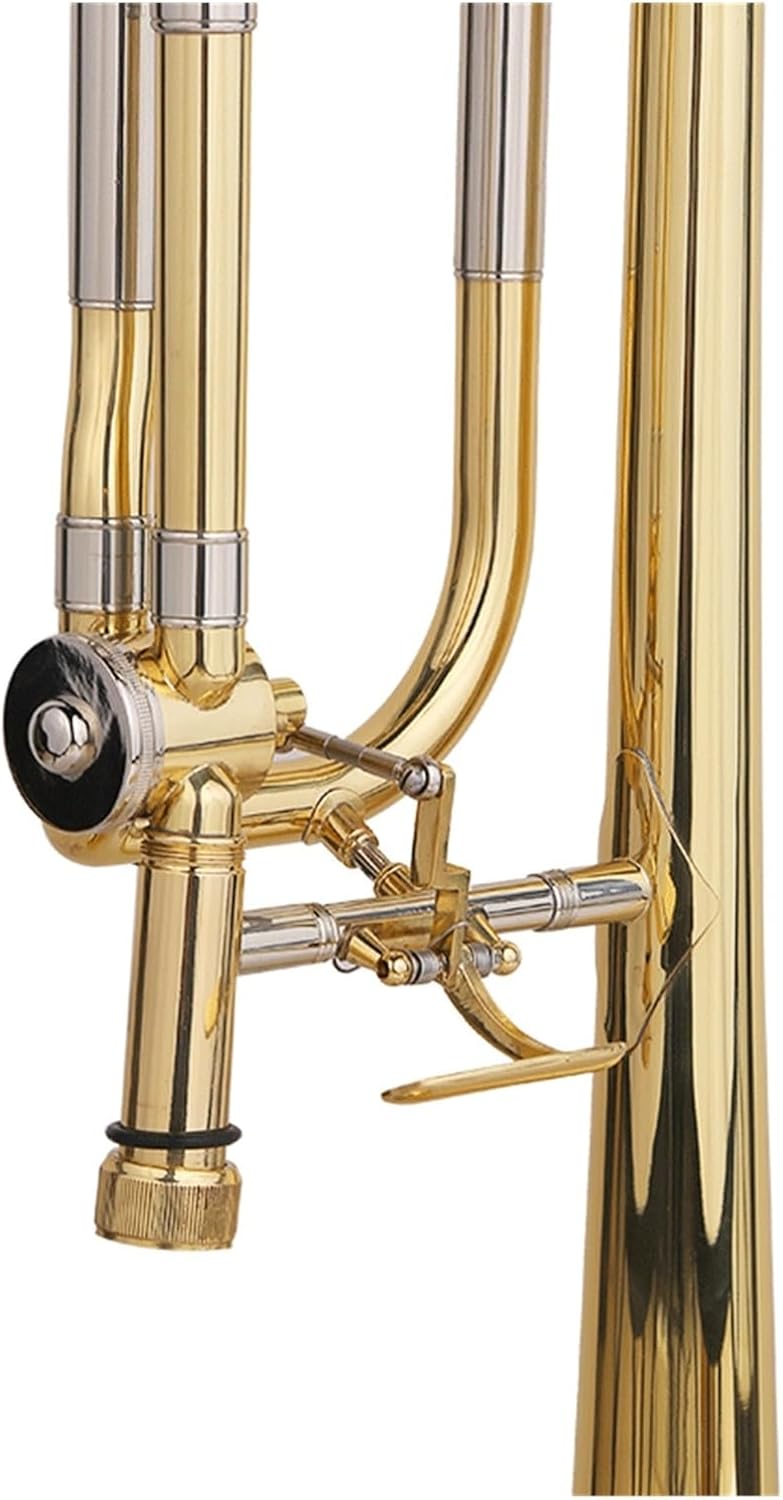 Professional Performance Practice Trombone for Beginners