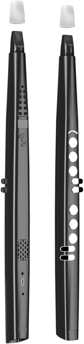 Bewinner Portable Electronic Wind Instrument, 13 Types of Instrumens & 12 Accompaniments Electronic Saxophone with Digital Screen, 4H Working Time HiFi Speaker MIDI Connectivity, Bewinner5wy6u93gbh