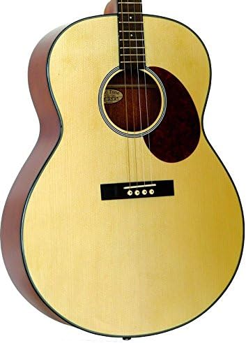 Gold Tone Tenor Acoustic Guitar w/Gig Bag
