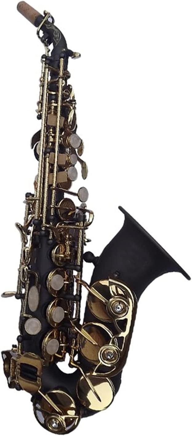 Sax Beginners Kit Soprano Saxophone Exquisite Carved Flower Black Nickel Gold Surface B Tone Sax Brass Instrument with Case Wind Instrument