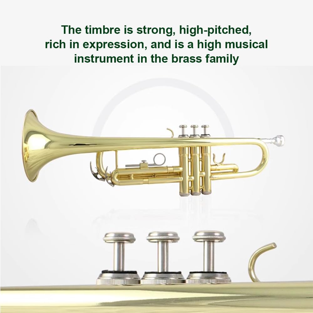 Trumpet in B Key, Performance-Level Wind Instrument Suitable for Beginners, Band Performance, Festival Celebration