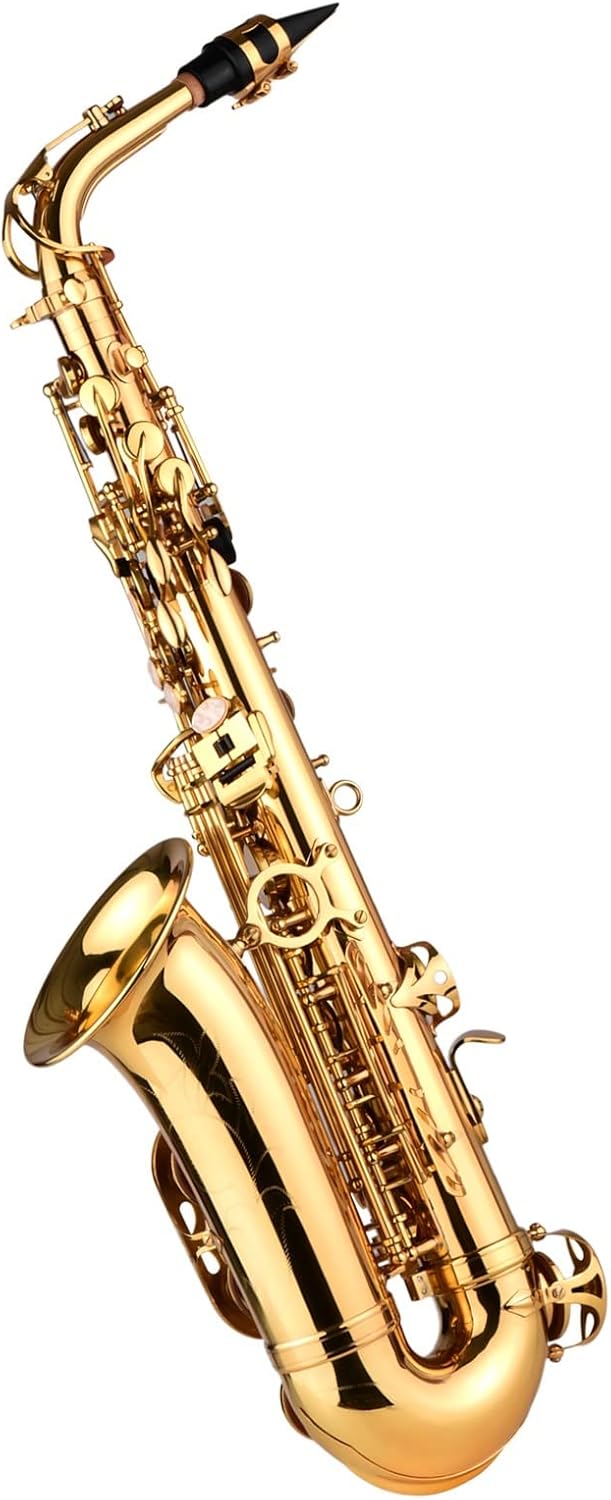 EB Alto Saxophone Brass Lacquered Alto Wind Instrument with Carry Case Gloves Straps