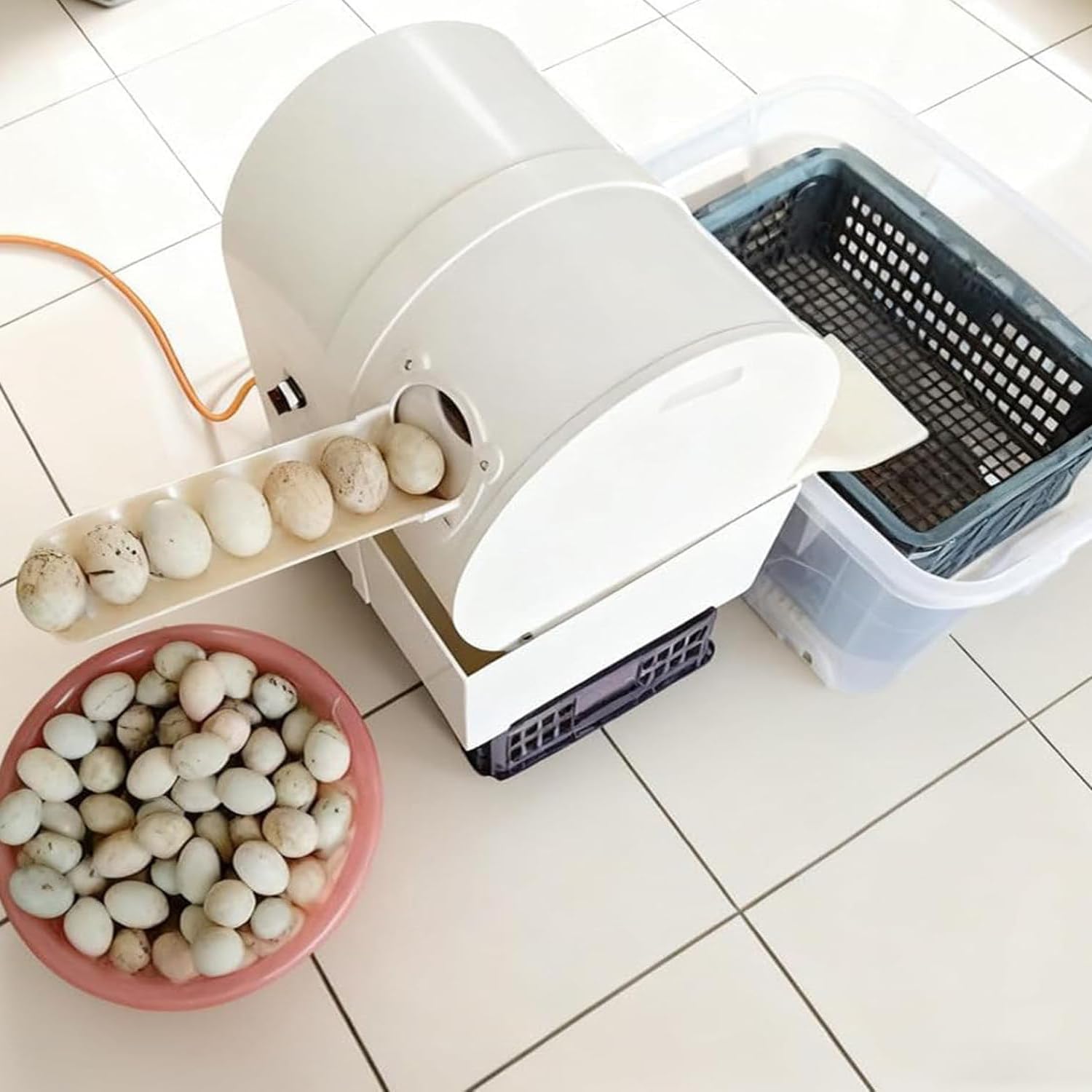 180W Electric Egg Washer Machine 2000Pcs/H, Automatic Egg Cleaning Tool for Fresh/Mud Eggs, Perfect for Farms Restaurants Bulk Cleaning