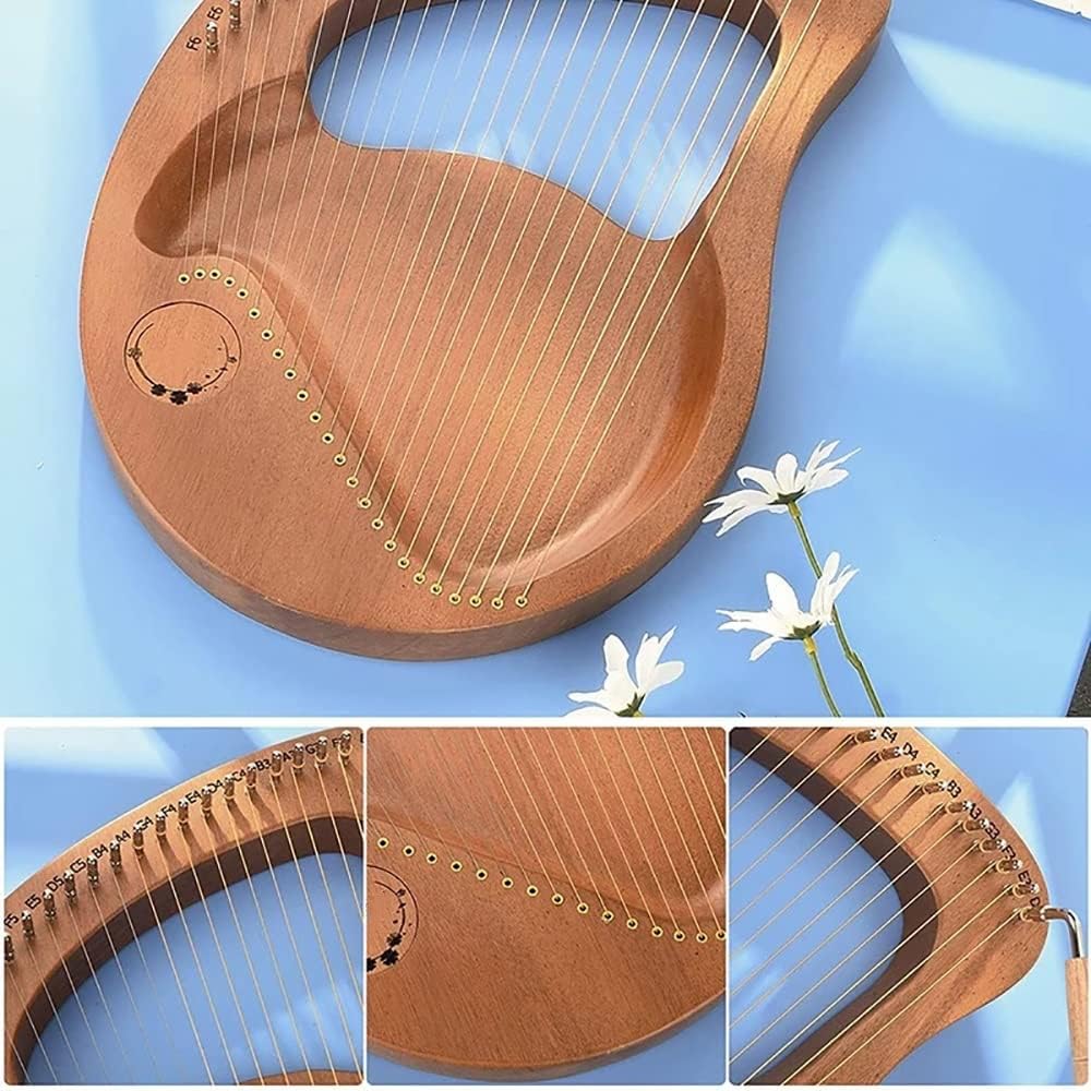 24 String Lyre Harp, Solidwood Mahogany, With Tuning Wrench Pick, Spare String, And English Music Tutorial, Best Gift For Beginner Music Lovers Kids Adult (Color : Brown)