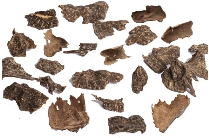 HAGA Super Oud Chunk Hilt - 1st Grade