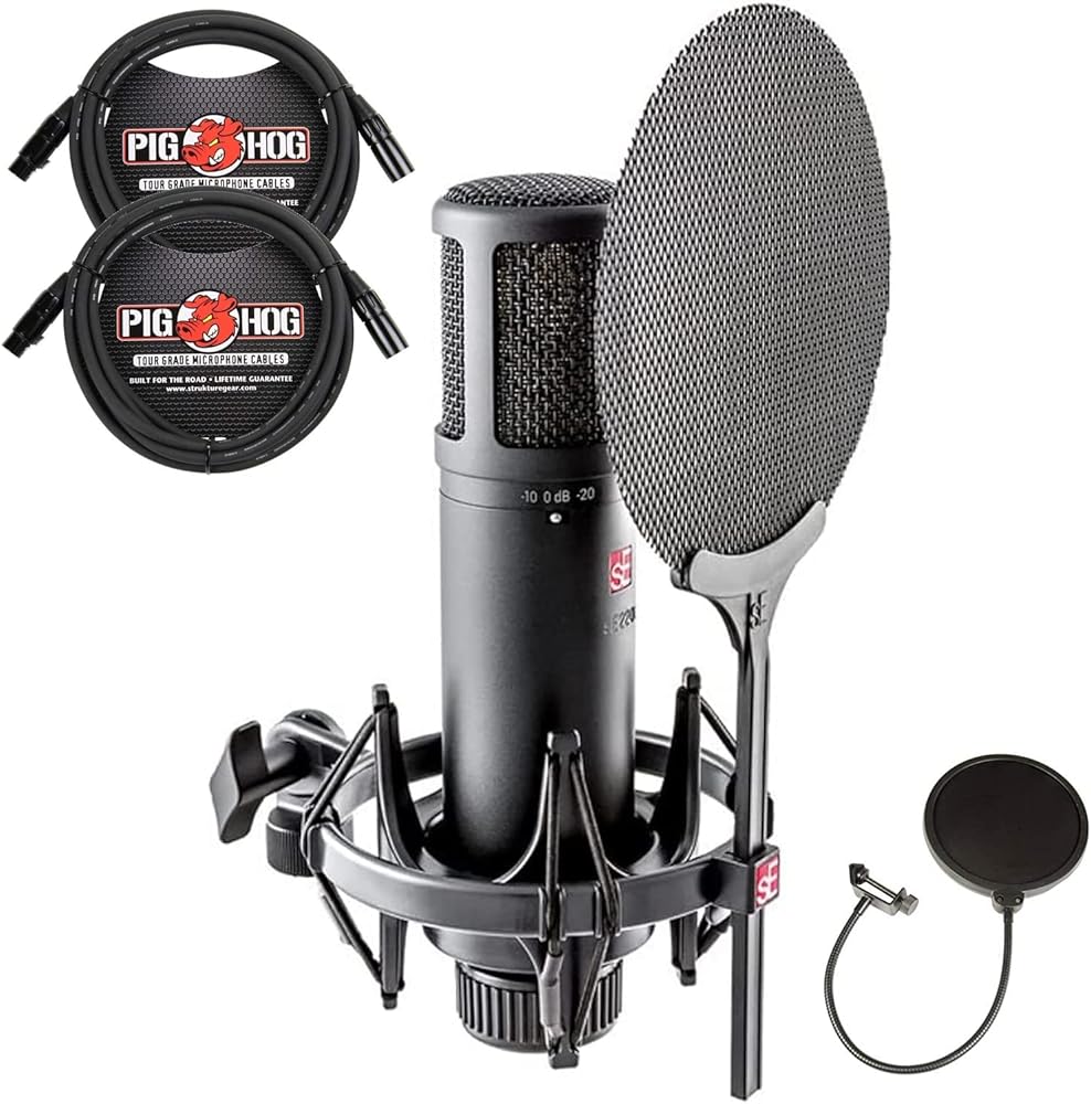 sE Electronics SE2200 Large-Diaphragm Condenser Microphone Bundle with Shockmount, Pop Screen Filter and 2 10ft XLR Cables