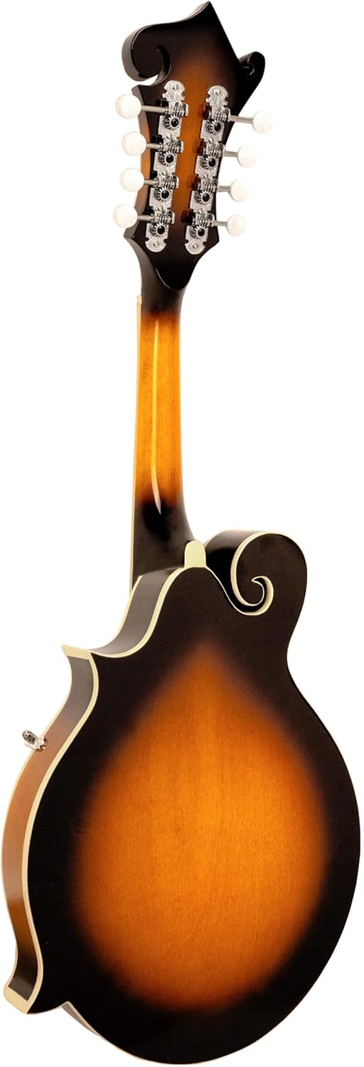 Gold Tone GM-35 F-Style Mandolin