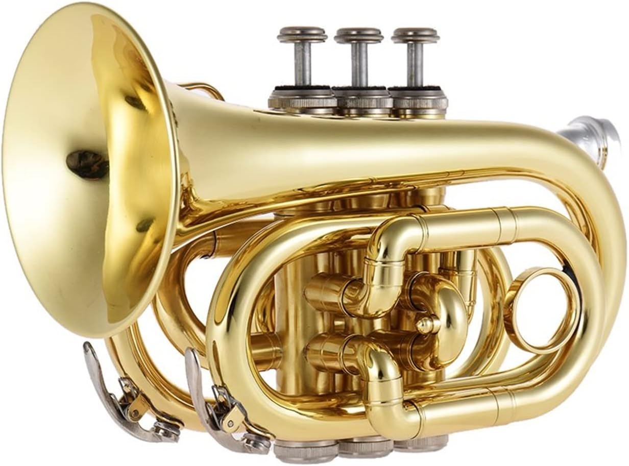 Trumpets Beginner Gold Lacquer Rotary Valve Type Bb Cornet with Cornet Box and Accessories Trumpet Set