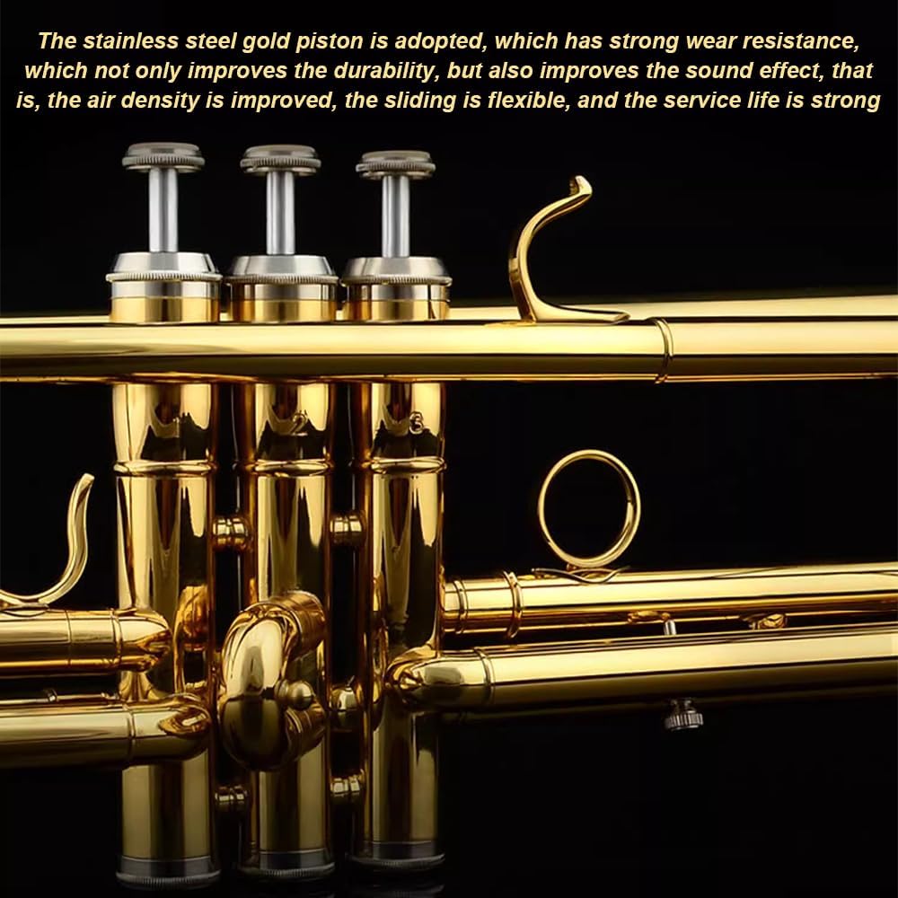 Lacquer Gold B-Flat Trumpet, Brass Beginner Wind Instruments for Adults, Western Instruments, Festival Band Celebration Instruments