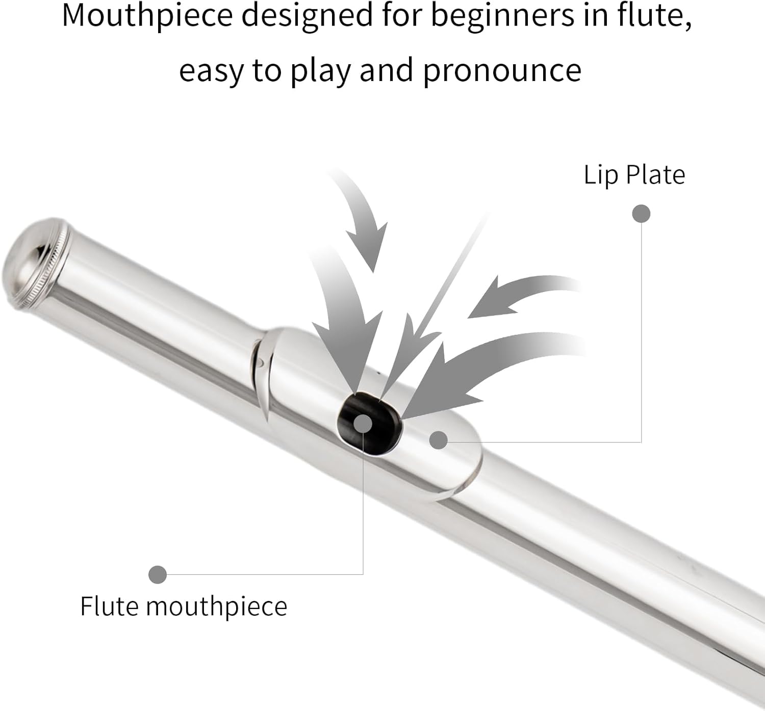 New C Flutes Closed Hole 16 Keys Flute for Beginner Flute Instrument with Cleaning Kit, Stand, Gloves, Tuning Rod,Carrying Case, Nickel (Nickel)