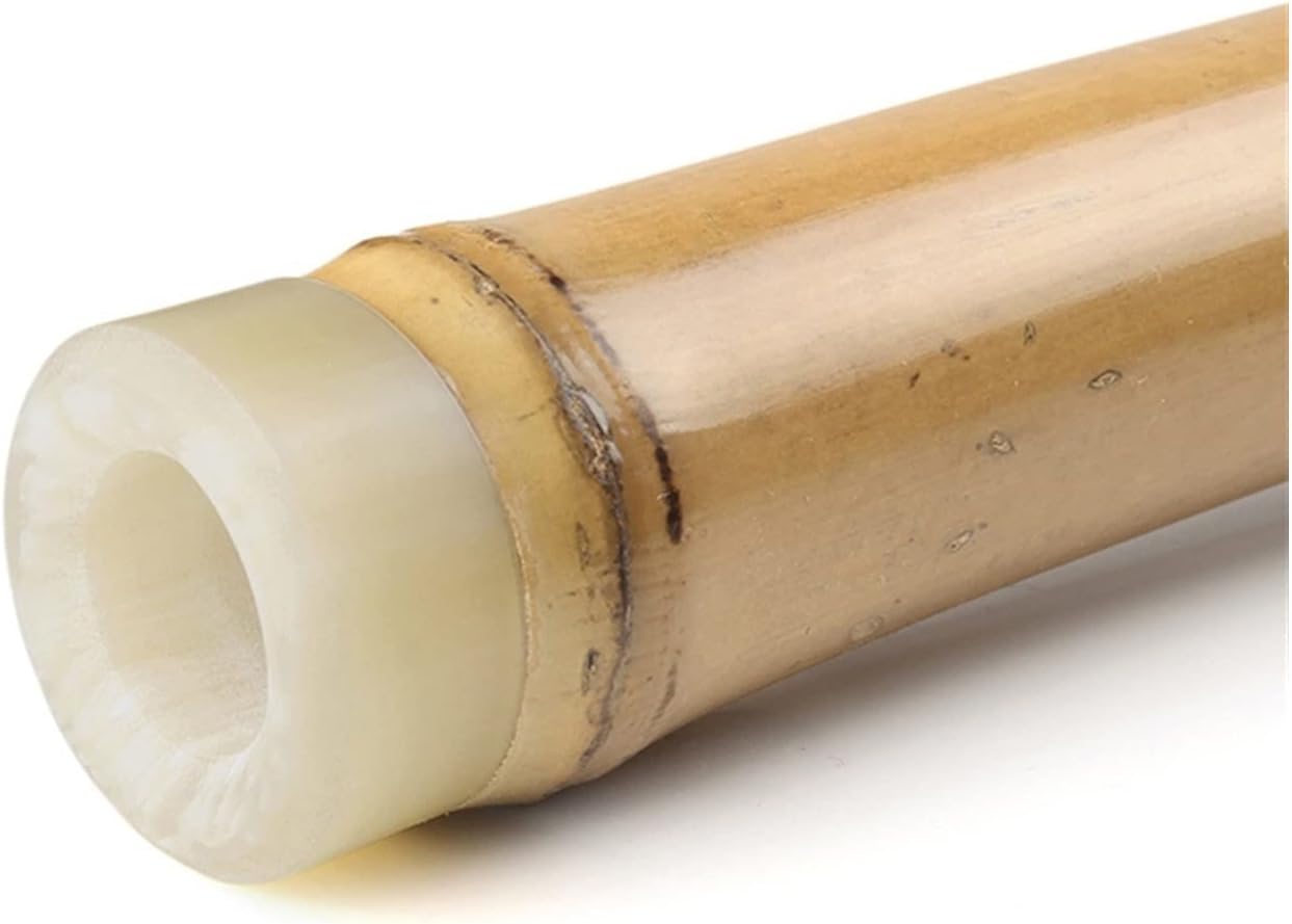 TSTS Chinese Bamboo Flute Wood Color G Key Chinese Bamboo Flute Xiao Woodwind Vertical Traditional Musical Instrument Handmade