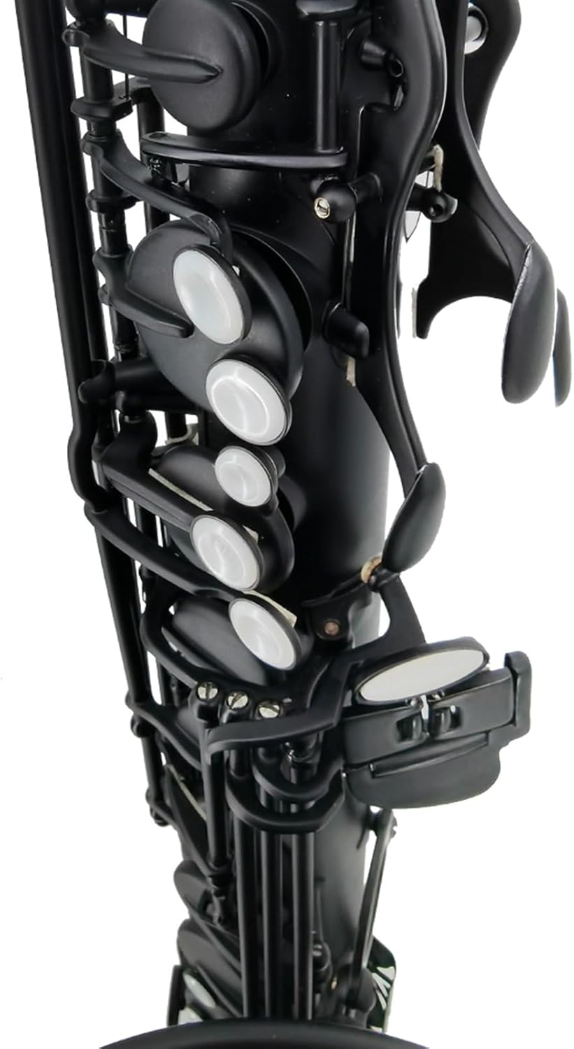 Matte Black Nickel Plated Brass Body Tenor Saxophone Musical Instrument With Mouthpiece