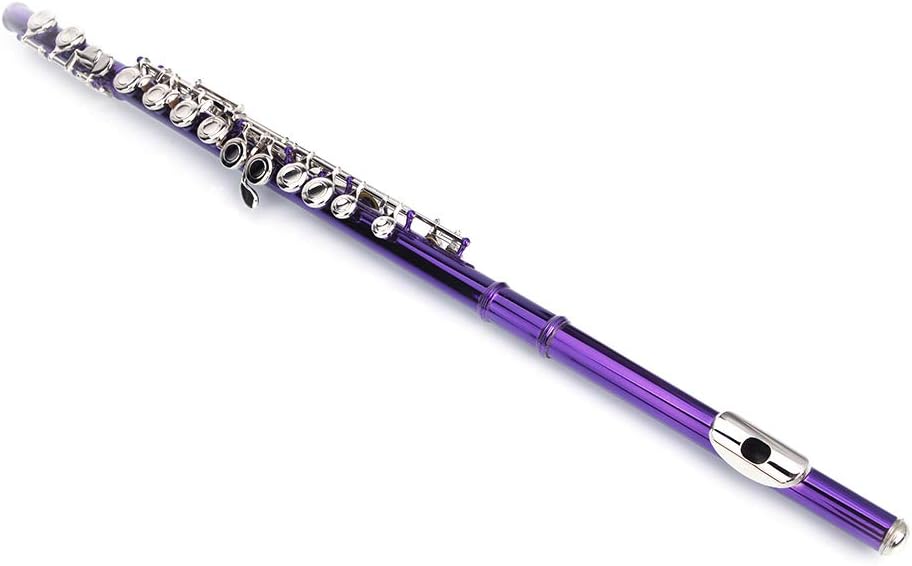 Nickel Plated Beginner Flute Concert Band with E Key, Case, Cleaning Kit, Kids Musical Instrument (Purple)