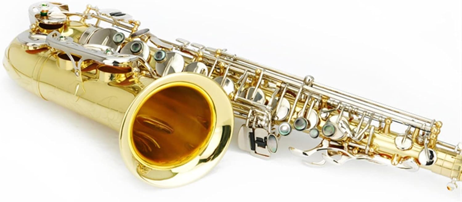 KESHUO E Flat Alto Saxophone Instrument, Nickel-Plated Silver Keys, Saxophone Instrument Wind/Pipe Brass Sax Beginners Kit